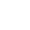 insurai preloader Logo